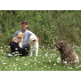 Doodle Country Coupon Code Doodle Country Coupon Code