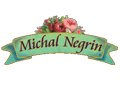 Michal Negrin Coupon Codes Michal Negrin Coupon Codes